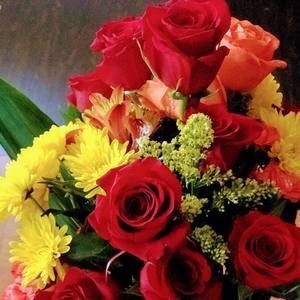 Meet your Posher, Luz